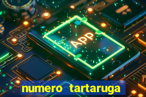 numero tartaruga jogo do bicho